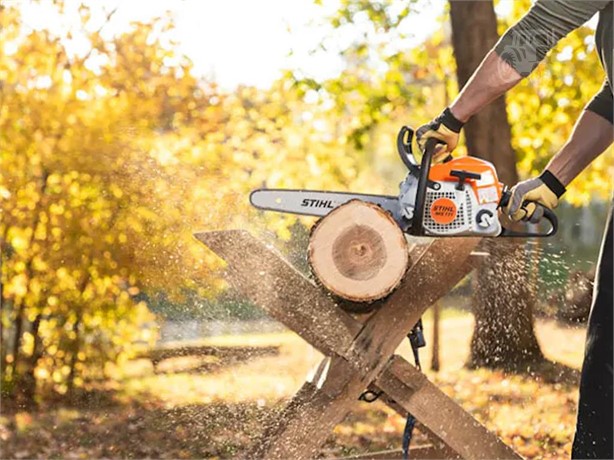 2023 STIHL MS 171 New Chainsaws for sale
