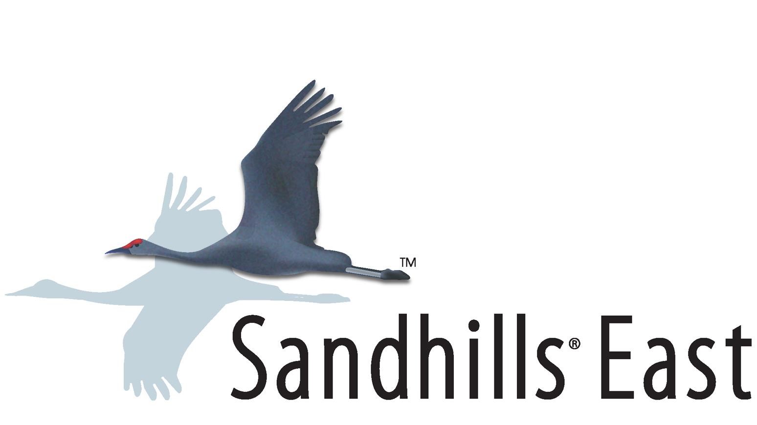Sandhills East Acquires Web Management Consultants Ltd.