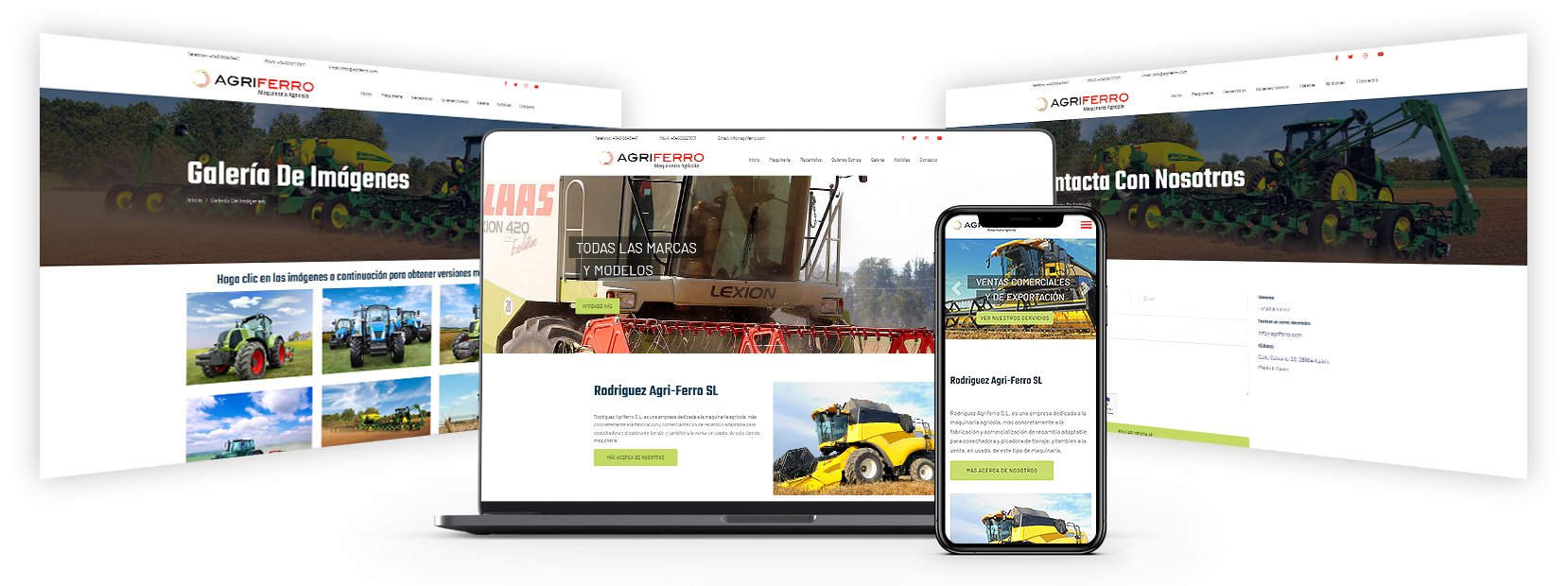 Website Hosting