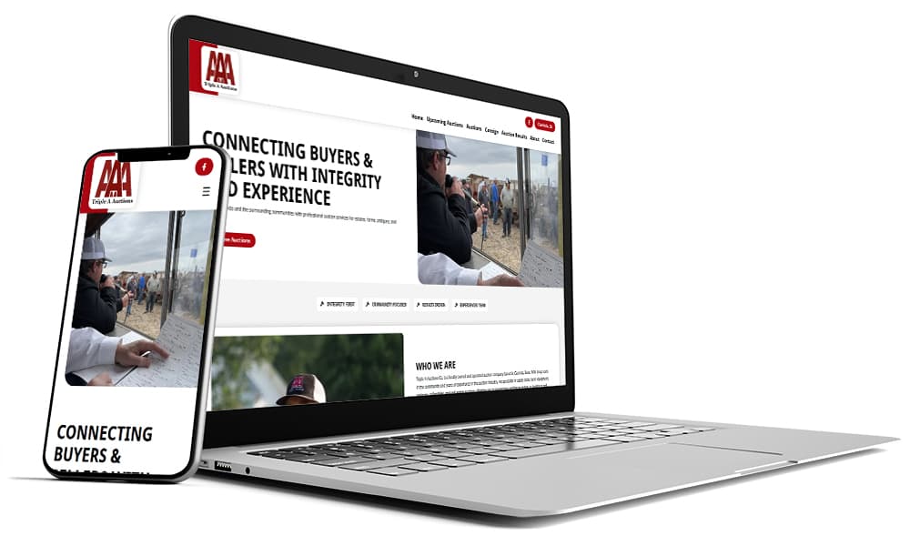 Website Platform Image