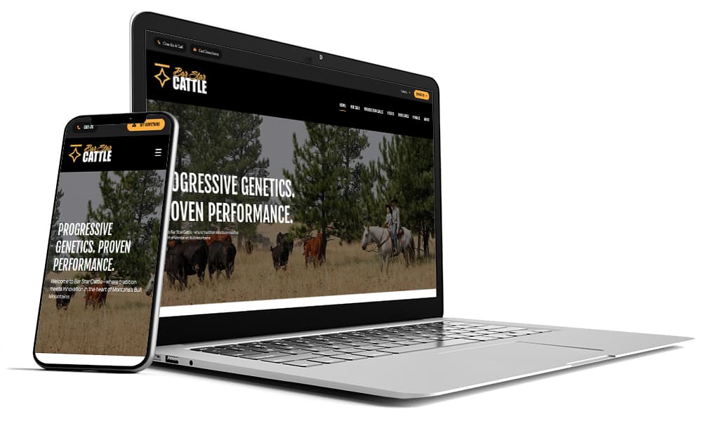 Website Platform Image