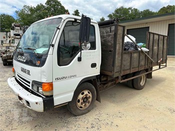 ISUZU Dump Trucks Auction Results | TreeTrader.com