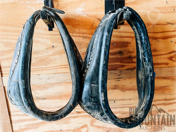 19" & 22" BLACK COLLARS Used Livestock auction results