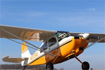 konvertering ejendom Slægtsforskning AMERICAN CHAMPION Aircraft For Sale - 25 Listings | Controller.com