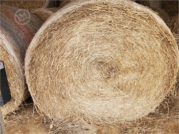 Large Straw Bales