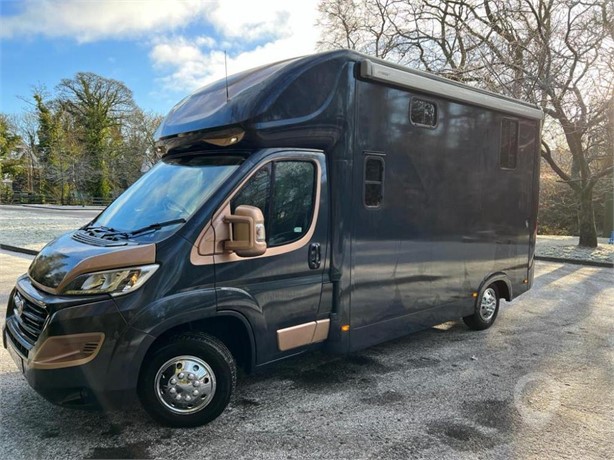 2019 FIAT DUCATO Used Animal / Horse Box Vans for sale