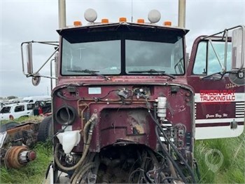 2004 PETERBILT 378 Used Cab Truck / Trailer Components for sale