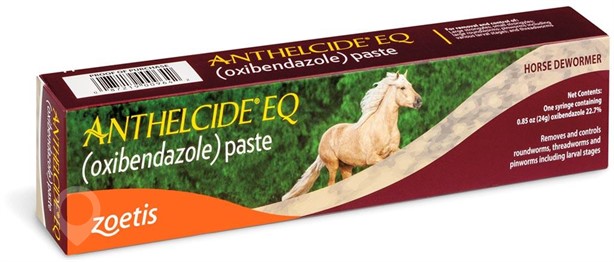 ZOETIS ANTHELCIDE EQUINE PASTE 24GM New Other for sale
