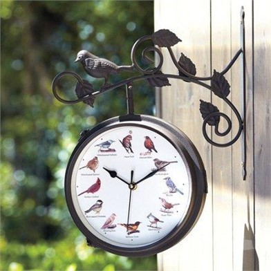 Mpes Outdoor Singing Bird Clock Thermometer For Sale 2