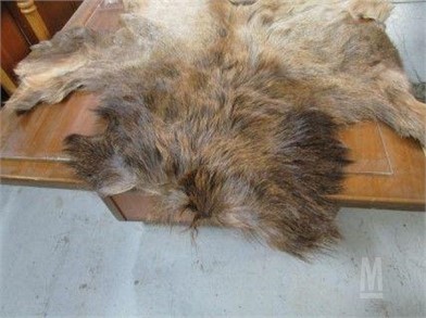 Large Elk Hide Otros Artículos Para La Venta 1 Anuncios - roblox furry t shirt feather
