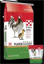 PURINA FLOCK RAISER CRUMBLES W/O 50# New Other for sale