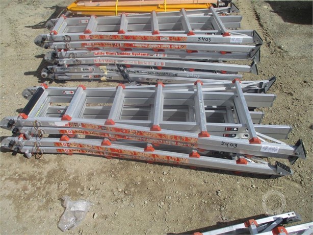 (2) LITTLE GIANT LADDERS Used Ladders / Scaffolding Shop / Warehouse auction results
