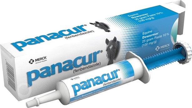 MERCK ANIMAL HEALTH PANACUR PASTE HORSE WORMER New Other for sale