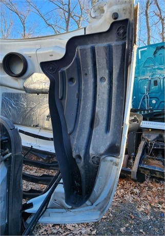2020 FREIGHTLINER CASCADIA 126 Used Body Panel Truck / Trailer Components for sale