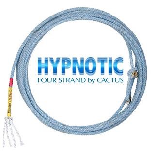 2024 CACTUS HYPNOTIC New Other for sale