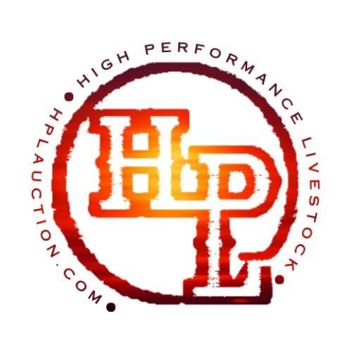 HPL Auctions logo