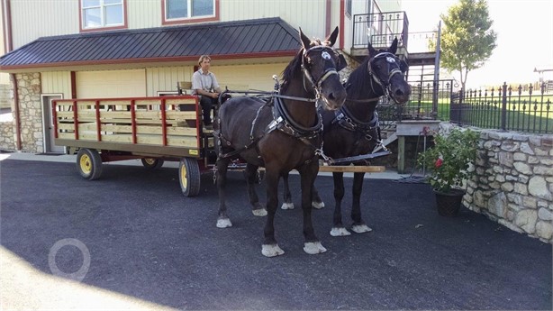 2024 STOLTZFUS 7X16 HAYRIDE New Horse Drawn Equipment for sale