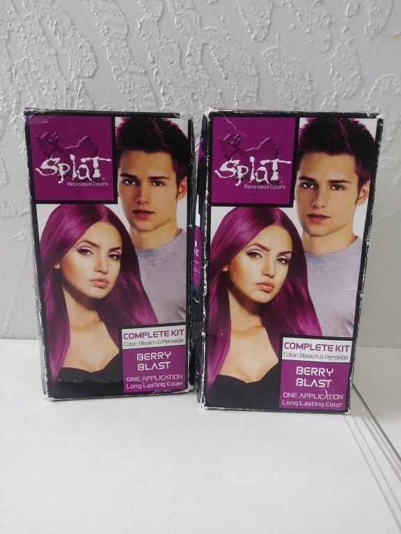 Splat Hair Coloring Toodle Loo Auctions