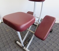 Life Gear Massage Chair Professional Bighorn Auction Co