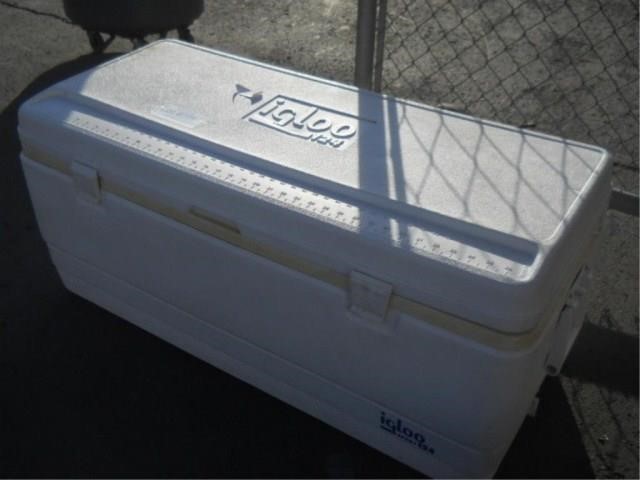 Igloo Sport 124 Quart Cooler Hibid Auctions