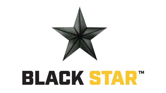 AuctionTime.com Provides Online Bidding for Black Star ACA $173,500 ...