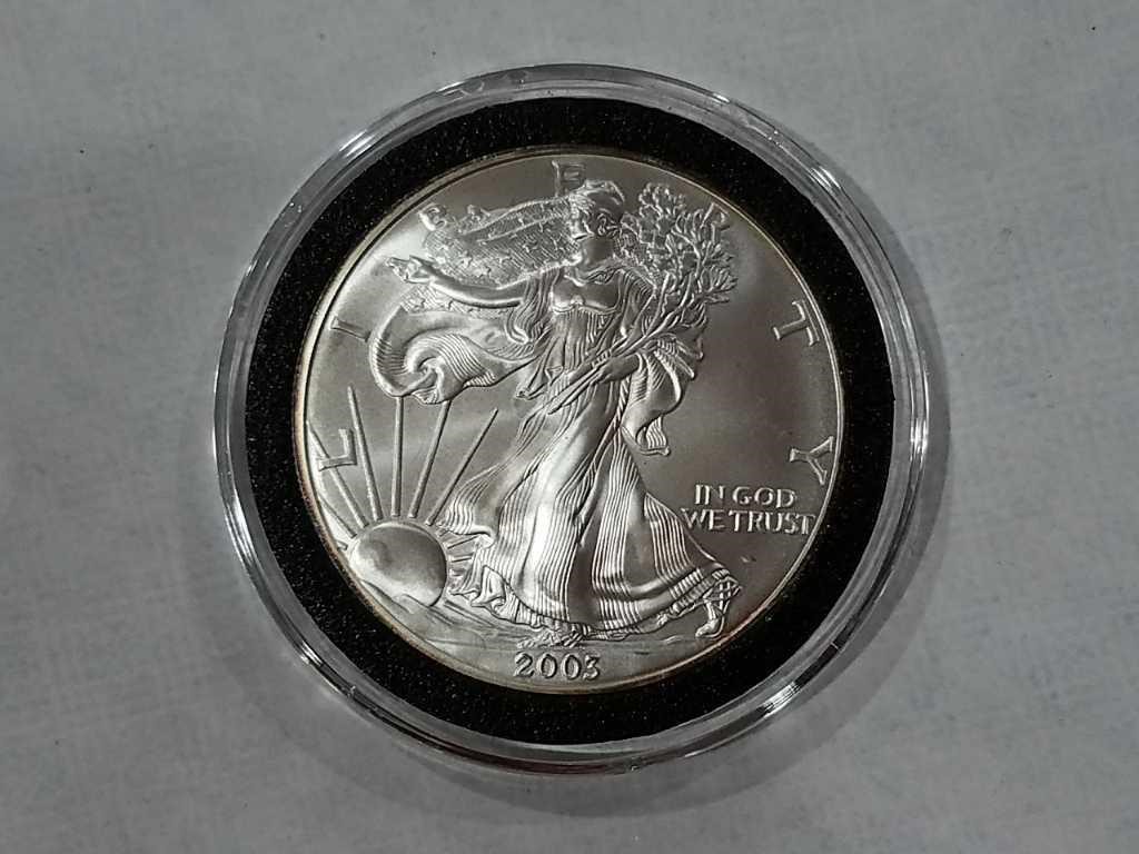 2003 Eagle Standing Liberty Silver Dollar BU | United Country Online ...