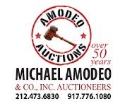 Michael Amodeo & Co. Inc.