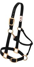 2024 WEAVER LARGE HORSE HALTER New Other for sale