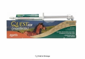 ZOETIS QUEST GEL HORSE 14.4GM TUBE New Other for sale