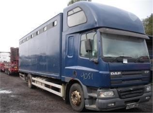 2003 DAF CF55.165 Used Horse Box Trucks for sale