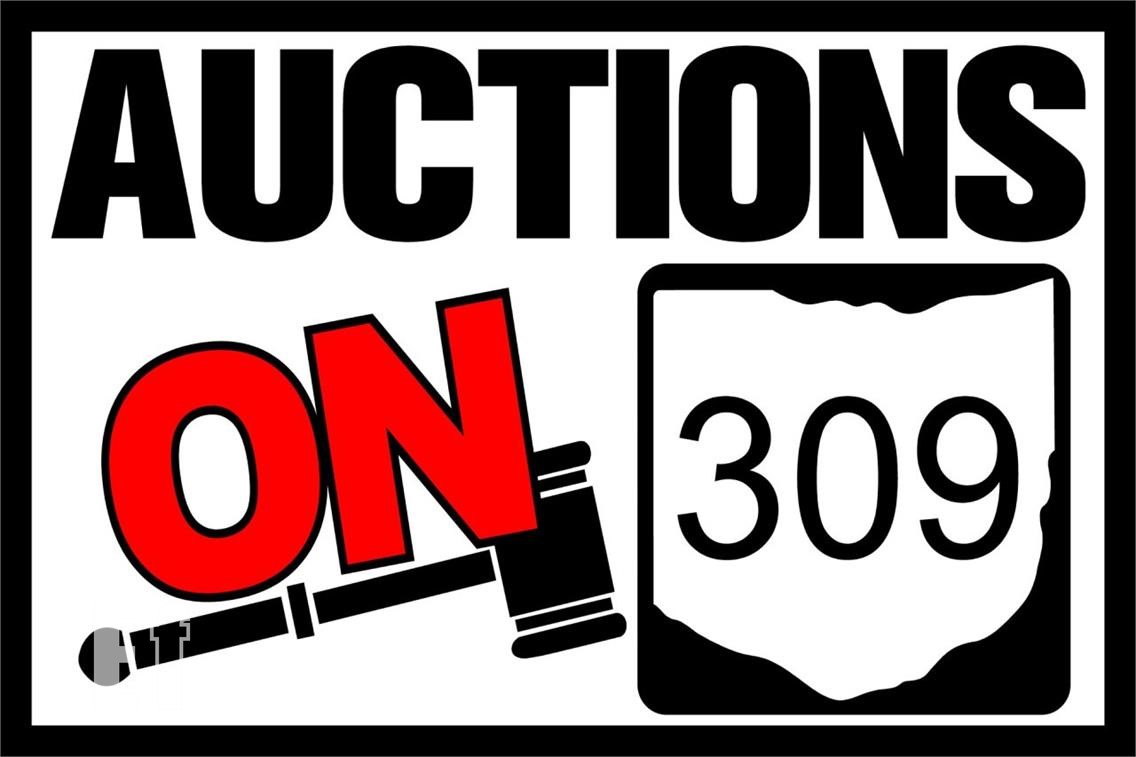 Auctions on 309 logo